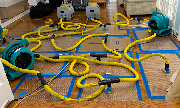Professional Emergency Water Removal technician working in Castleton, VA